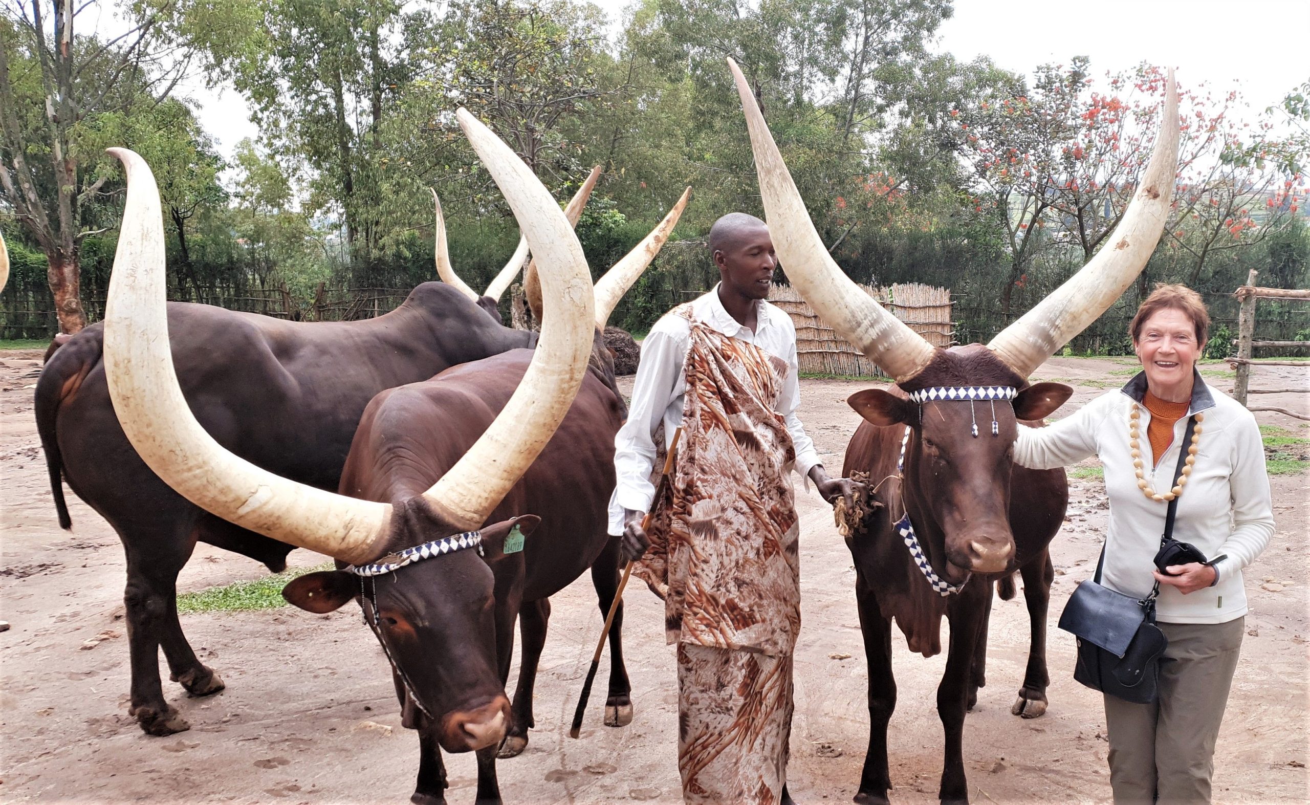 Car hire to Nyungwe National Park from Kigali