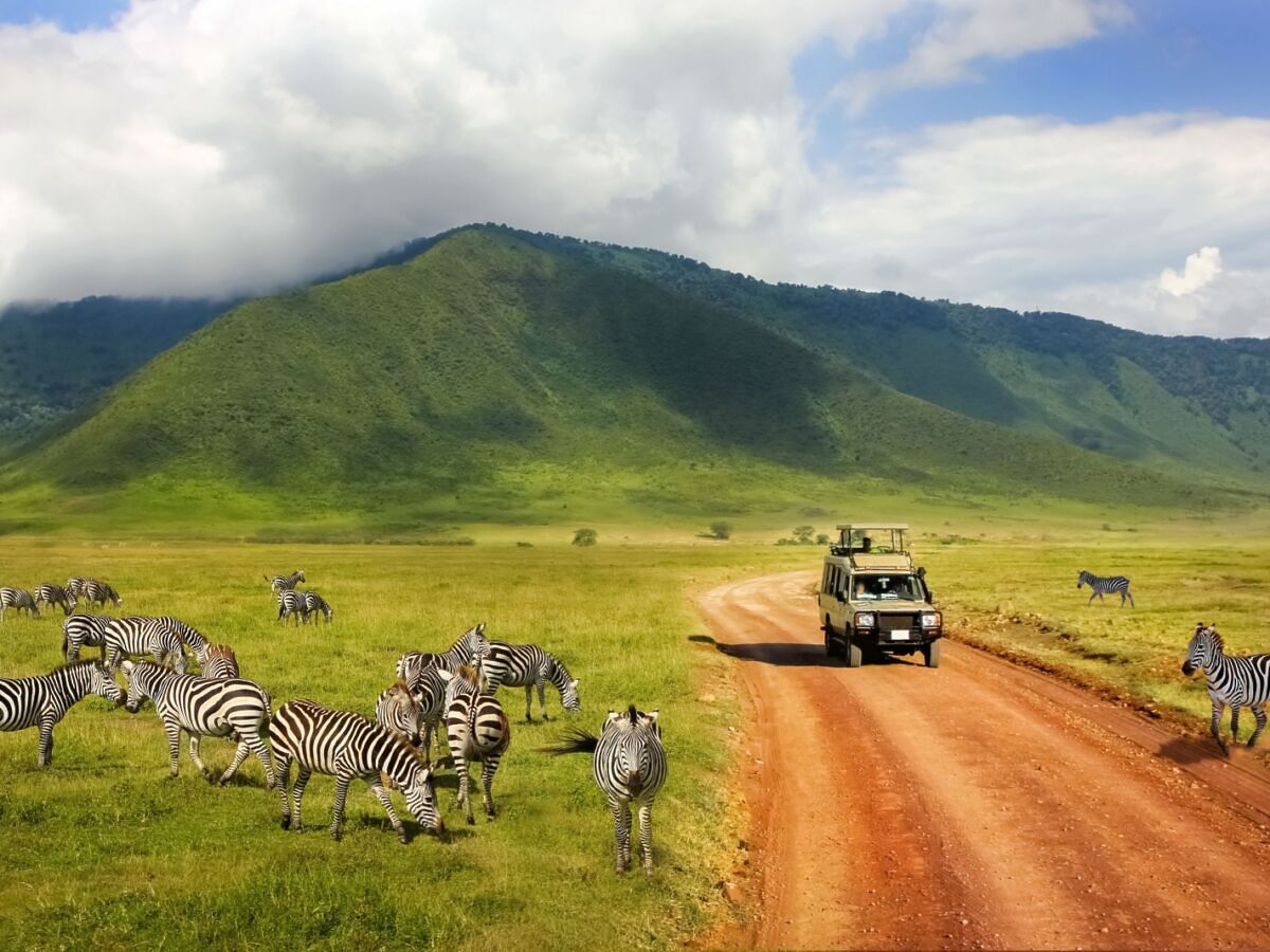Best safari car rental company in East Africa