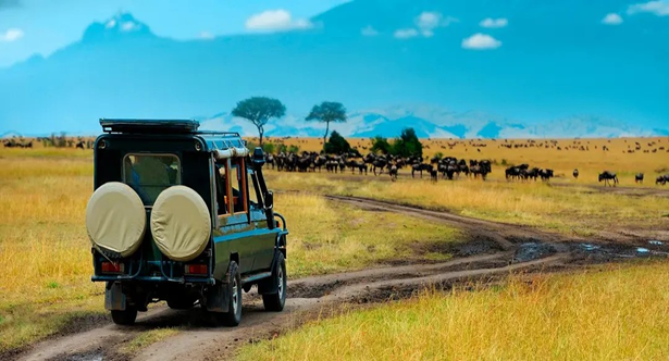 East Africa safari vehicle hire with driver-guide