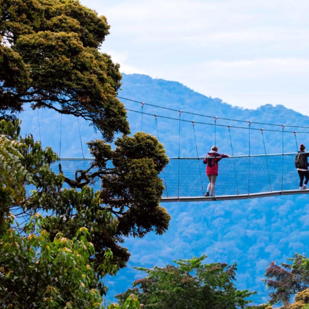 Car hire for Nyungwe canopy walkway adventure