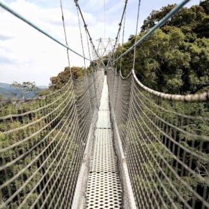 Budget 4x4 rental to Nyungwe Forest Rwanda