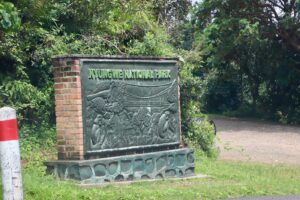 Rent a car with driver to Nyungwe National Park