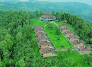 Self-drive Rwanda car hire for Nyungwe chimpanzee trekking