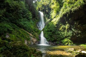 Self-drive car hire to Nyungwe National Park Rwanda