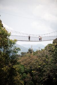 Family-friendly car hire to Nyungwe National Park