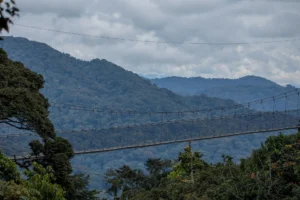 Rwanda car rental services for Nyungwe safaris
