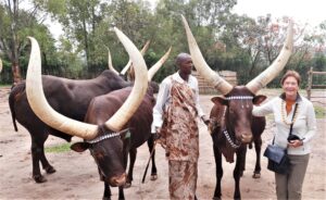 Car hire to Nyungwe National Park from Kigali