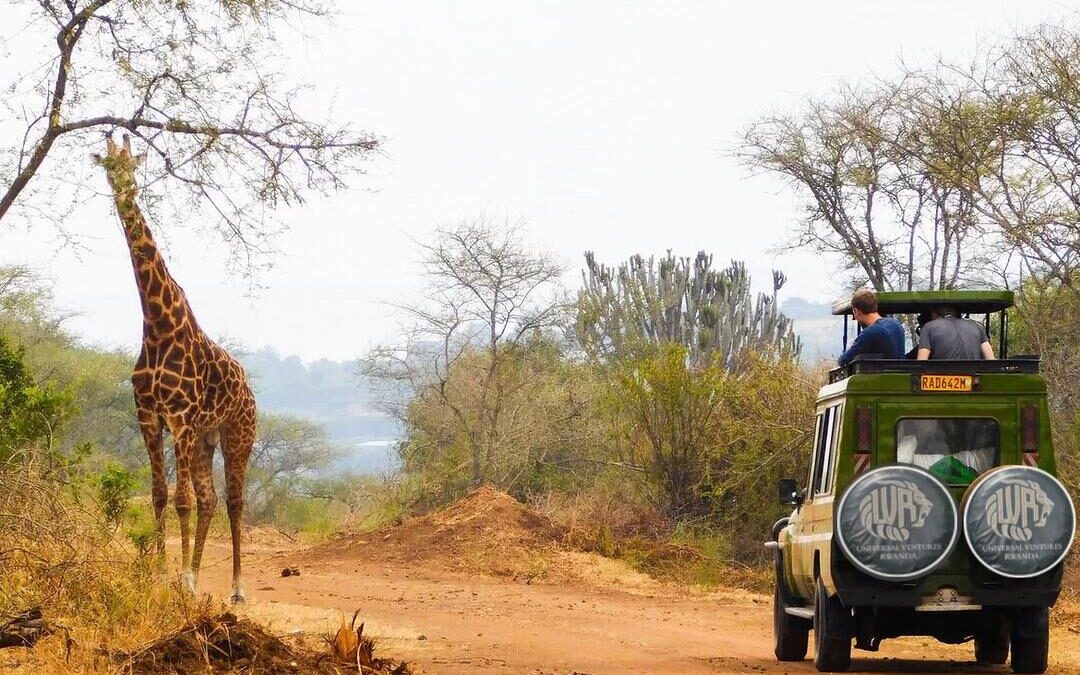 Affordable car hire to Akagera National Park