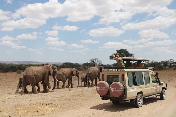 4x4 car rental for Akagera National Park safari