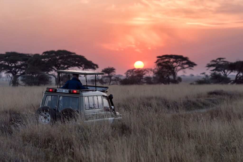 Land Cruiser Prado rental for Akagera National Park