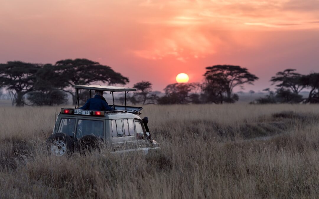 Land Cruiser Prado rental for Akagera National Park