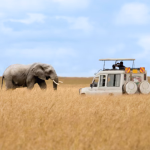 Budget 4x4 rental to Akagera National Park Rwanda