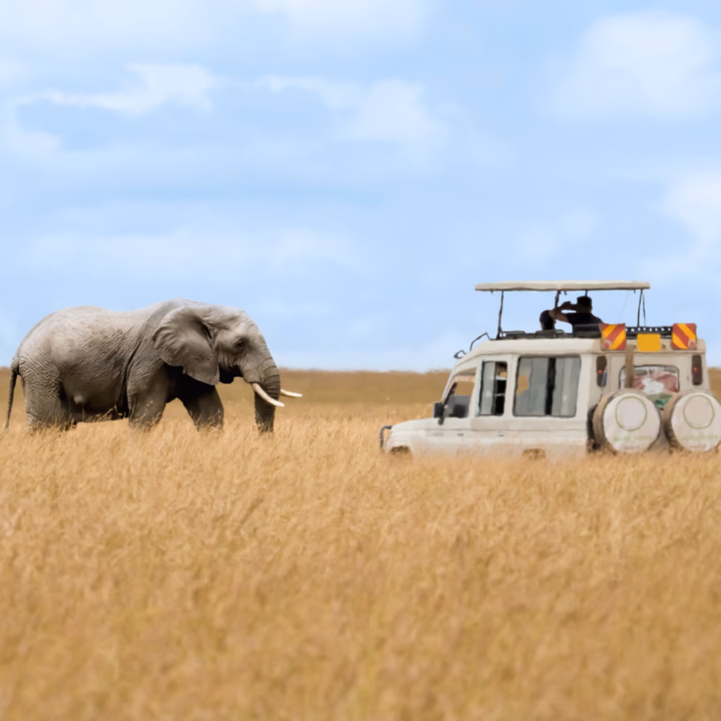 Self-drive car hire to Akagera National Park Rwanda