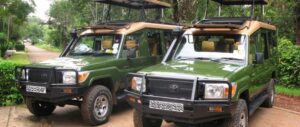Best car rental company for Volcanoes National Park tours