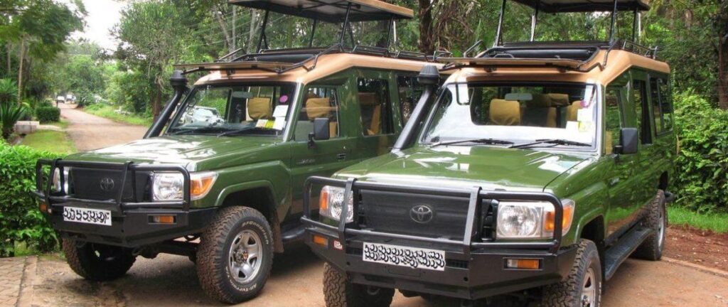 Self-drive car hire to Volcanoes National Park