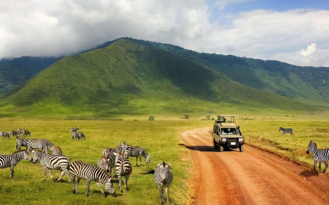 East Africa driver-guided safari car rental services